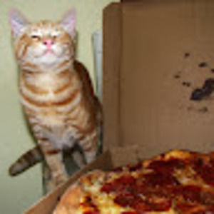 Meet your Posher, Christian